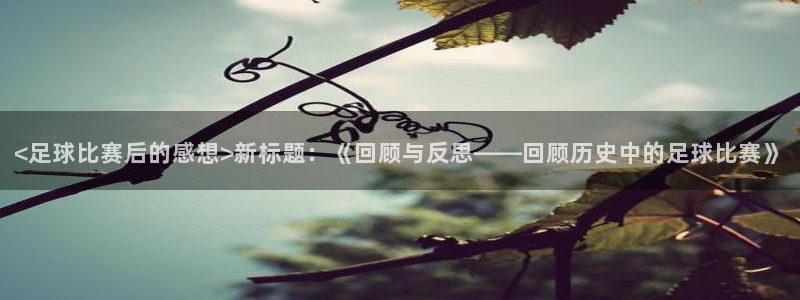  <足球比赛后的感想>新标题：《回顾与反思——回顾历史中的足球