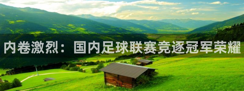  内卷激烈：国内足球联赛竞逐冠军荣耀