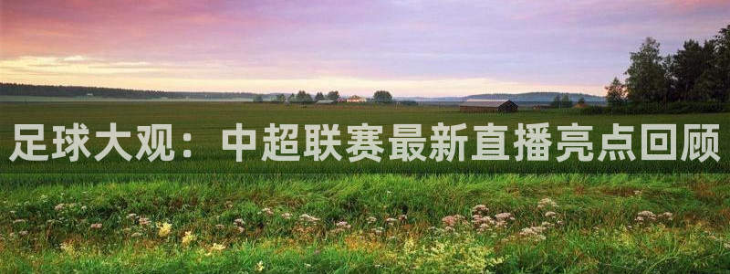 足球大观：中超联赛最新直播亮点回顾