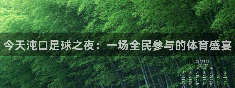 今天沌口足球之夜：一场全民参与的体育盛宴