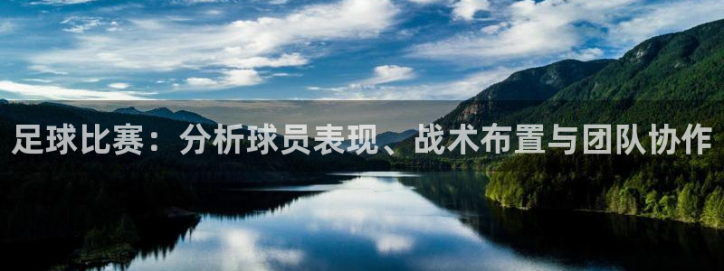 足球比赛：分析球员表现、战术布置与团队协作