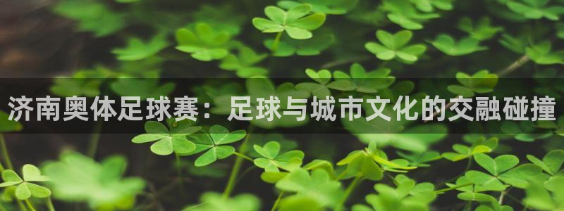  济南奥体足球赛：足球与城市文化的交融碰撞