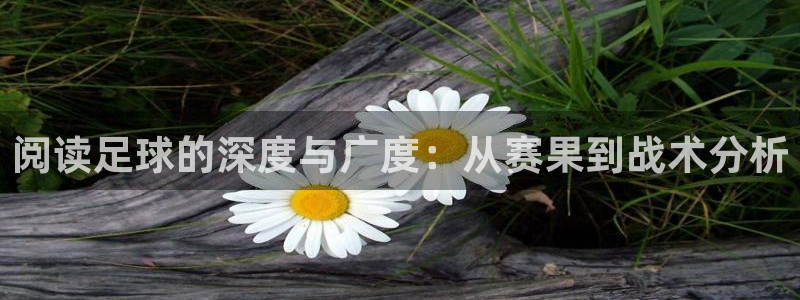  阅读足球的深度与广度：从赛果到战术分析