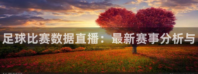  足球比赛数据直播：最新赛事分析与
