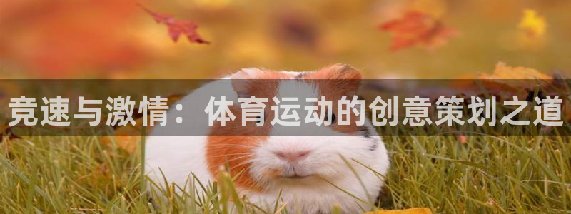 球客岛