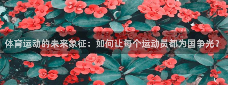 球客岛