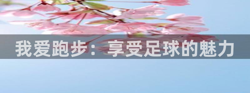 球客岛