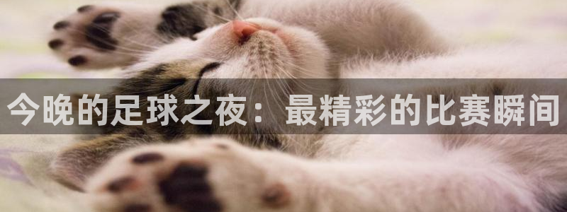 今晚的足球之夜：最精彩的比赛瞬间