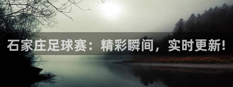 石家庄足球赛：精彩瞬间，实时更新!