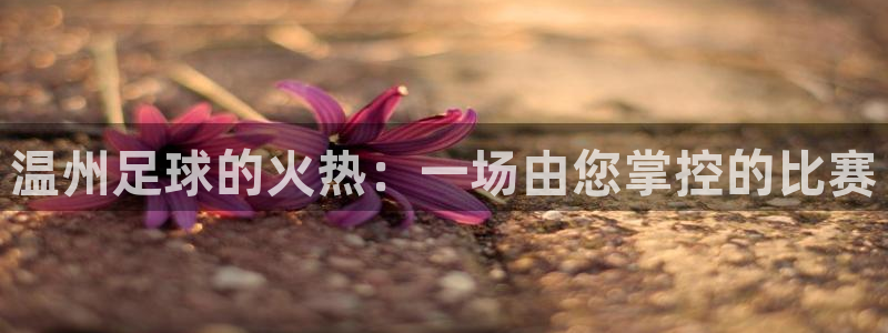 温州足球的火热：一场由您掌控的比赛