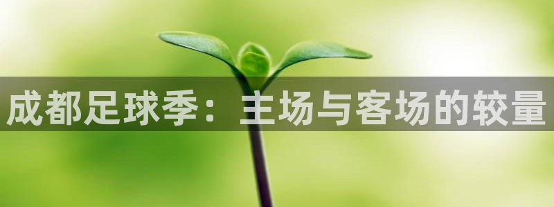 成都足球季：主场与客场的较量