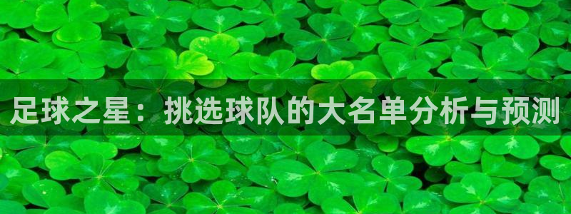 足球之星：挑选球队的大名单分析与预测