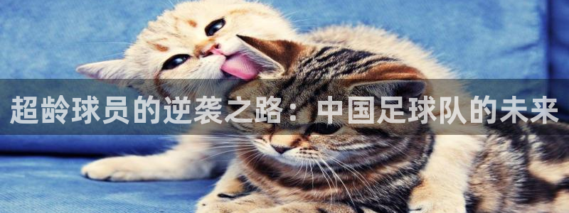 超龄球员的逆袭之路：中国足球队的未来
