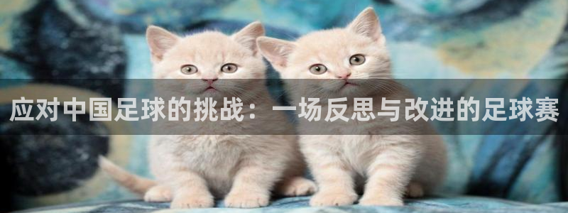 应对中国足球的挑战：一场反思与改进的