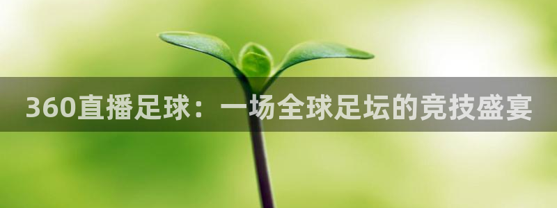 360直播足球：一场全球足坛的竞技盛