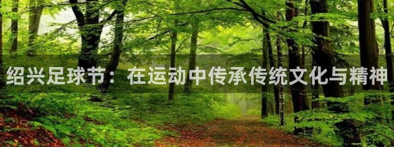 绍兴足球节：在运动中传承传统文化与精