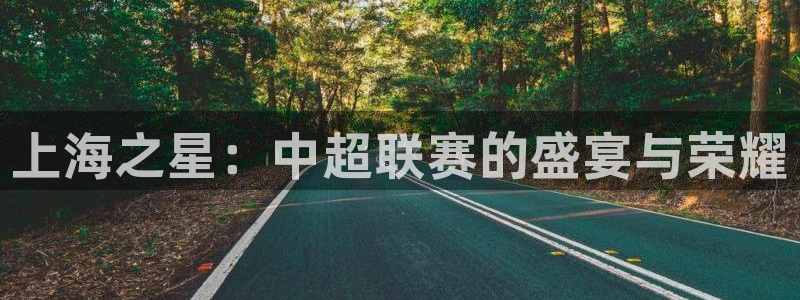 上海之星：中超联赛的盛宴与荣耀