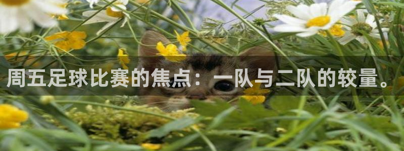  周五足球比赛的焦点：一队与二队的较量。