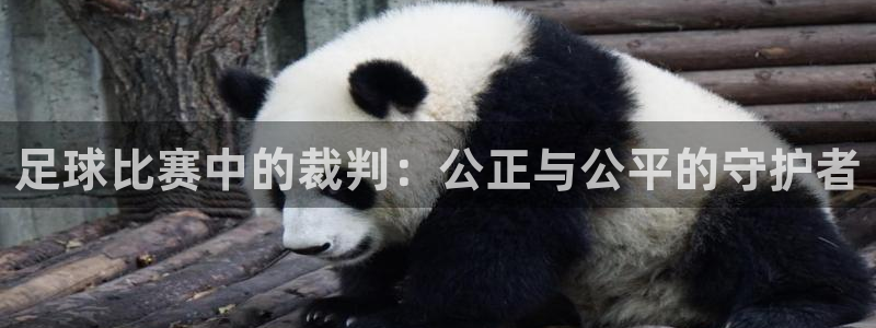 足球比赛中的裁判：公正与公平的守护者