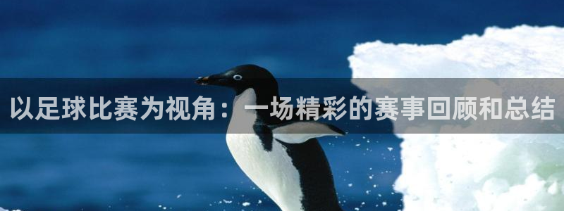  以足球比赛为视角：一场精彩的赛事回顾和总结