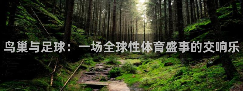 鸟巢与足球：一场全球性体育盛事的交响乐