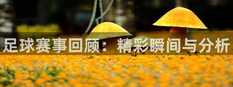 足球赛事回顾：精彩瞬间与分析