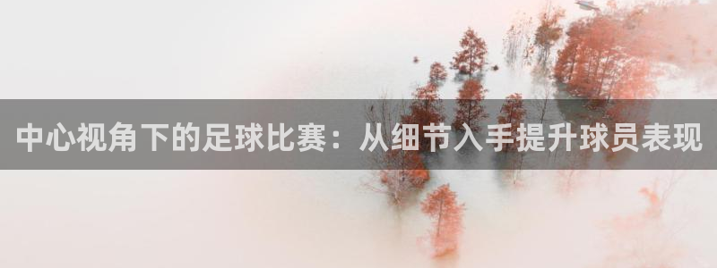  中心视角下的足球比赛：从细节入手提升球员表现