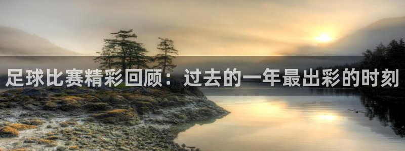 足球比赛精彩回顾：过去的一年最出彩的