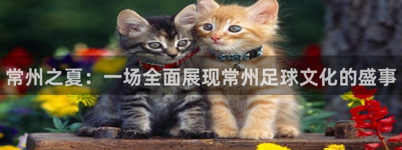 常州之夏：一场全面展现常州足球文化的