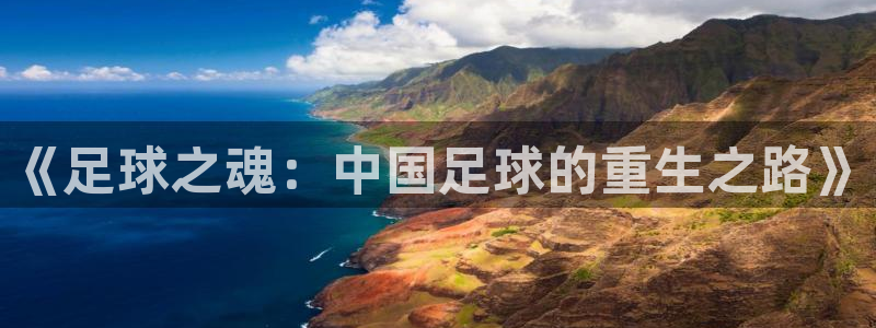 《足球之魂：中国足球的重生之路》