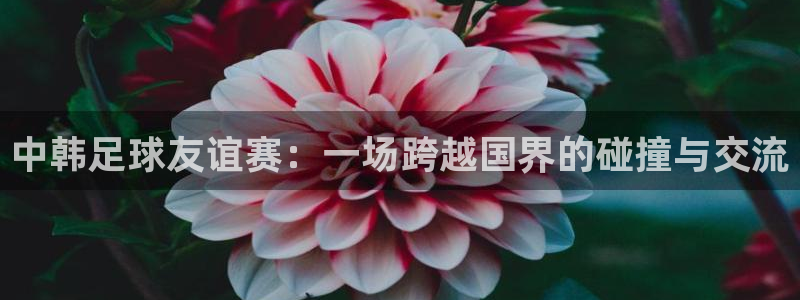 中韩足球友谊赛：一场跨越国界的碰撞与