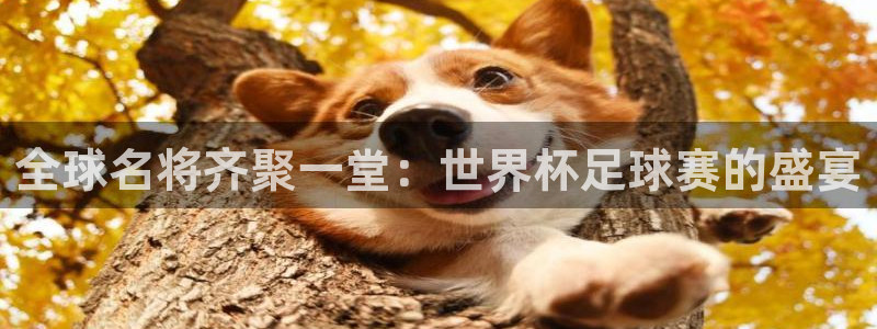  全球名将齐聚一堂：世界杯足球赛的盛宴