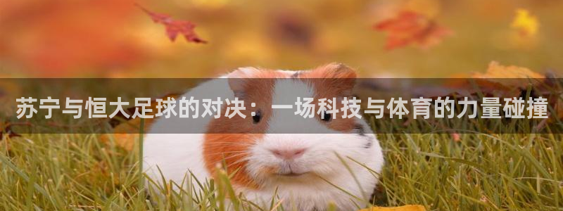 苏宁与恒大足球的对决：一场科技与体育的力量碰撞