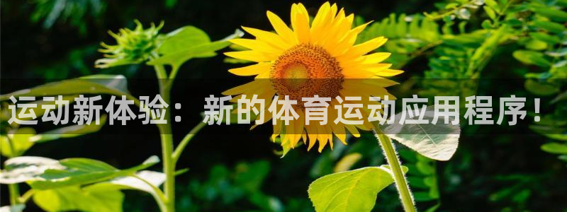 球客岛